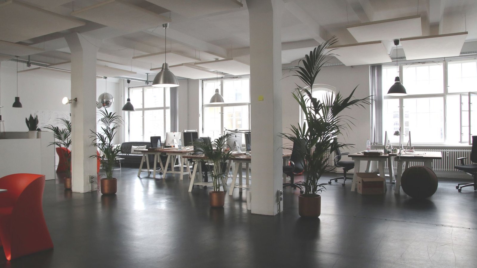 Bright modern commercial office interior